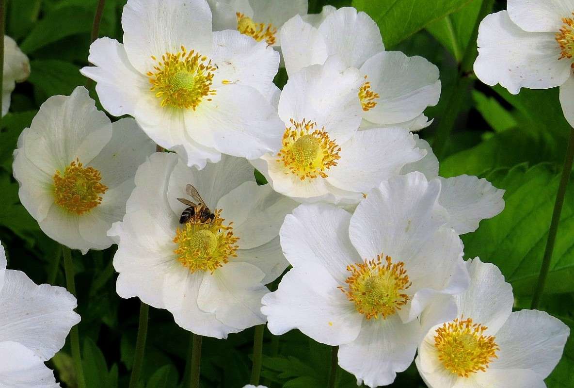 � �����, � ������� 2 ...))) ����� Natali  ��������� �� PhotoGeek.ru #������ ��� ������� #����� ��������������