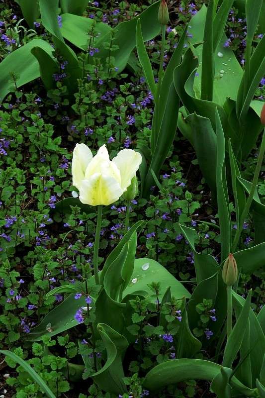 ... ����� Natali  ��������� �� PhotoGeek.ru #������ ��� ������� #����� ��������������