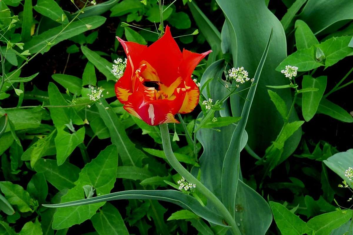 ... ����� Natali  ��������� �� PhotoGeek.ru #������ ��� ������� #����� ��������������