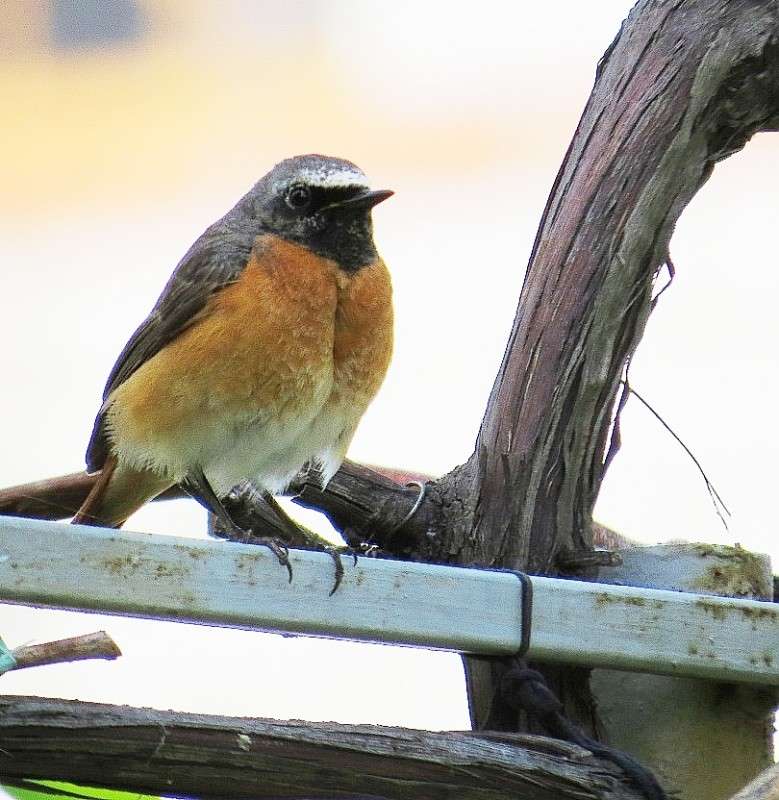 ... ����� Natali  ��������� �� PhotoGeek.ru #�������� ��� #����� ��� ��� ���������