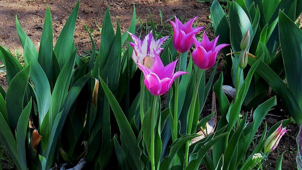 ... ����� Natali  ��������� �� PhotoGeek.ru #������ ��� ������� #����� ��������������