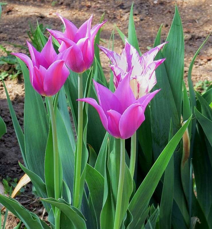 ... ����� Natali  ��������� �� PhotoGeek.ru #������ ��� ������� #����� ��������������