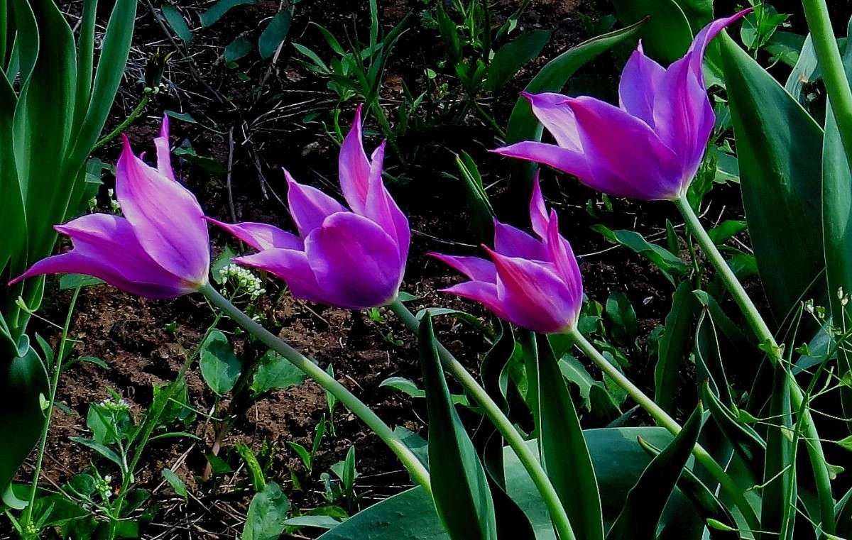 ... ����� Natali  ��������� �� PhotoGeek.ru #������ ��� ������� #����� ��������������