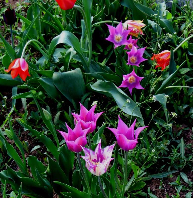 ... ����� Natali  ��������� �� PhotoGeek.ru #������ ��� ������� #����� ��������������