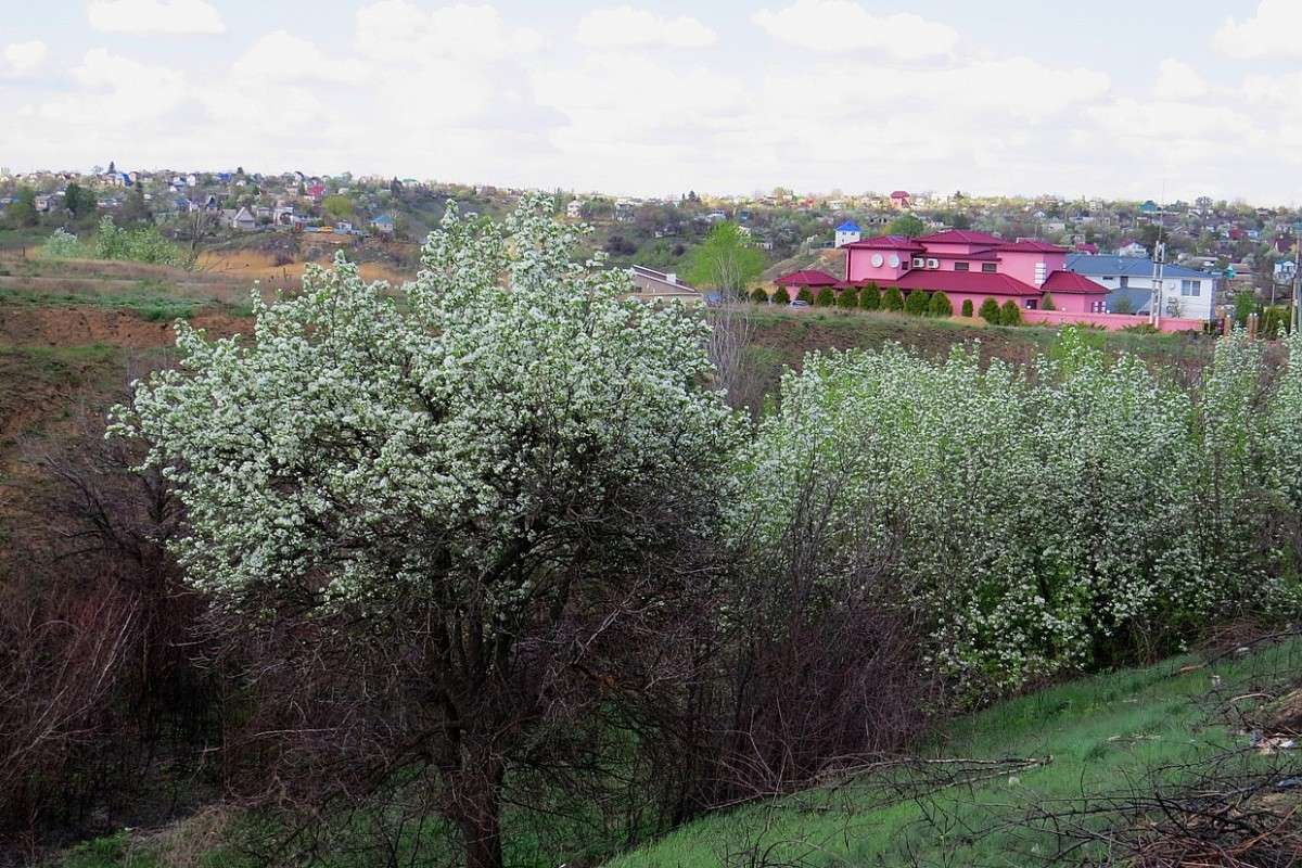 ������ ����� ����, ��� �������� ����� Natali  ��������� �� PhotoGeek.ru #������ ��� ������� #����� ��������������