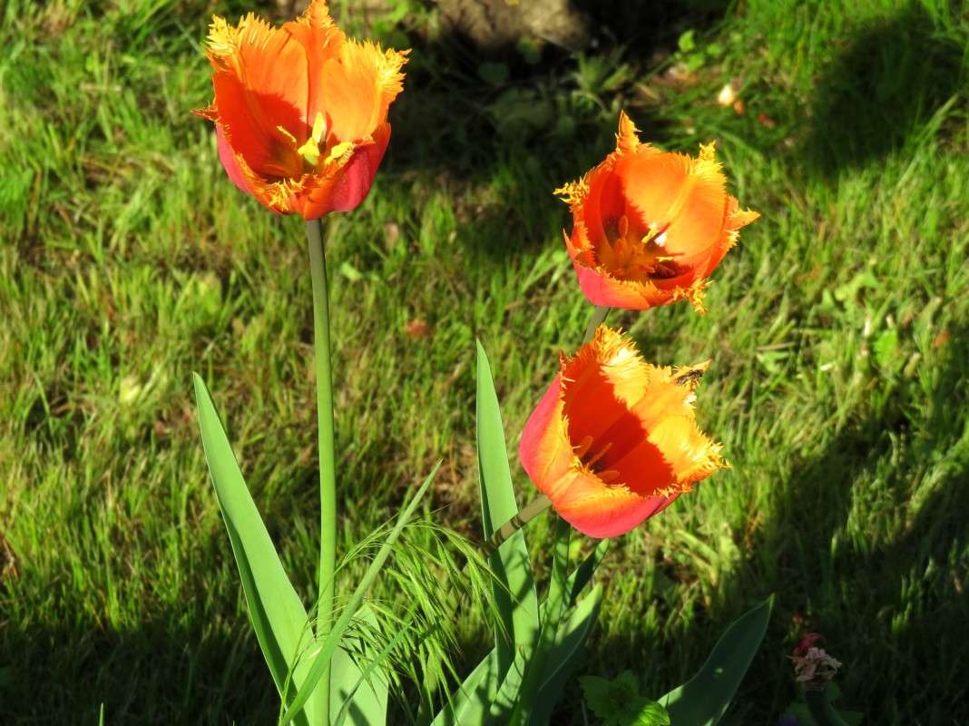 ... ����� Natali  ��������� �� PhotoGeek.ru #������ ��� ������� #����� ��������������