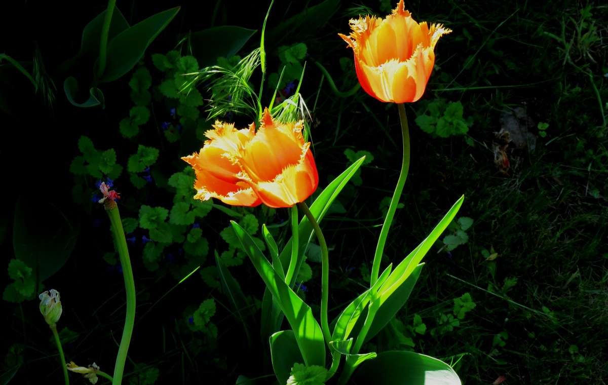 ... ����� Natali  ��������� �� PhotoGeek.ru #������ ��� ������� #����� ��������������