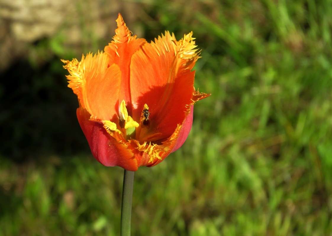 ... ����� Natali  ��������� �� PhotoGeek.ru #������ ��� ������� #����� ��������������