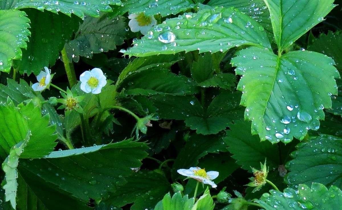 ����� ����� ����� Natali  ��������� �� PhotoGeek.ru #������ ��� ������� #����� ��������������