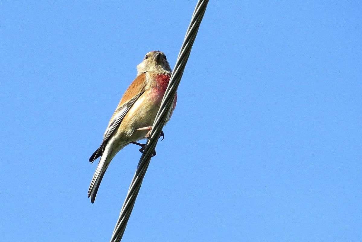 ... ����� Natali  ��������� �� PhotoGeek.ru #�������� ��� #����� ��� ��� ���������