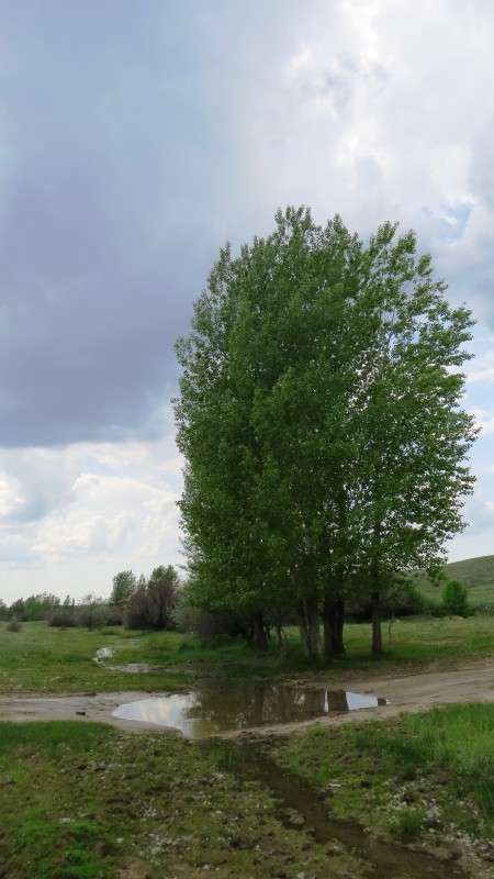 ����� ��������� ����� Natali  ��������� �� PhotoGeek.ru #������ ��� ������� #����� ��������������