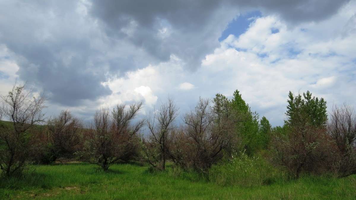 ����� ��������� ... 2 ����� Natali  ��������� �� PhotoGeek.ru #������ ��� ������� #����� ��������������