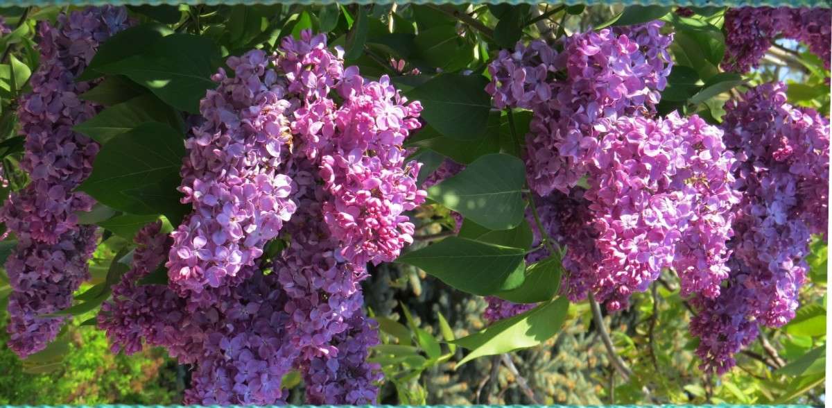 ... ����� Natali  ��������� �� PhotoGeek.ru #������ ��� ������� #����� ��������������