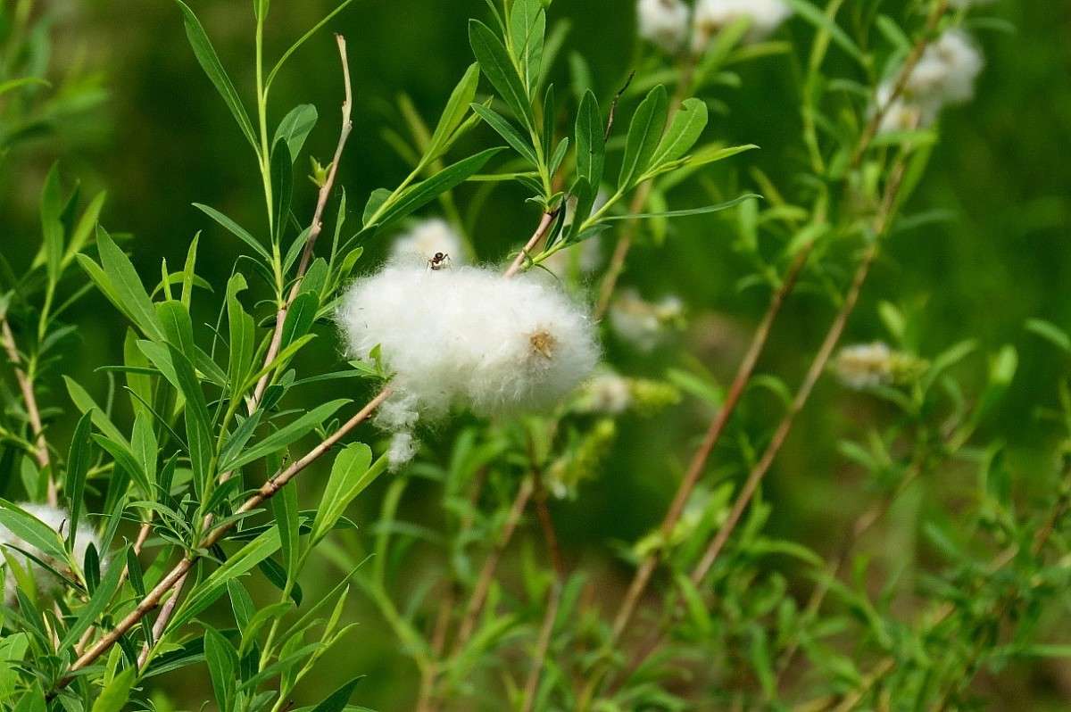 � ������ �������� ... ) ����� Natali  ��������� �� PhotoGeek.ru #������ ��� ������� #����� ��������������