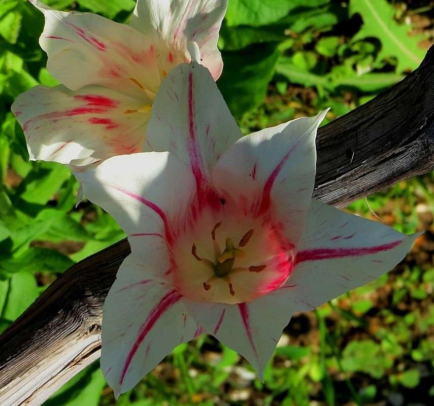 ... ����� Natali  ��������� �� PhotoGeek.ru #������ ��� ������� #����� ��������������