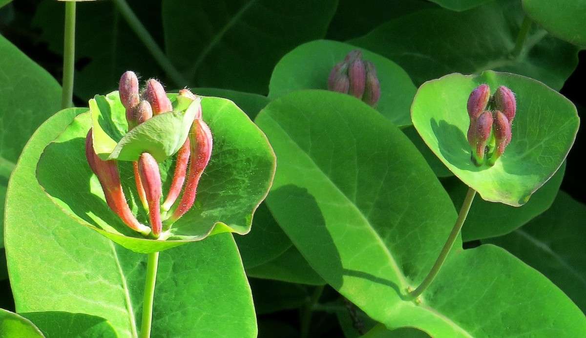 ... ����� Natali  ��������� �� PhotoGeek.ru #�����