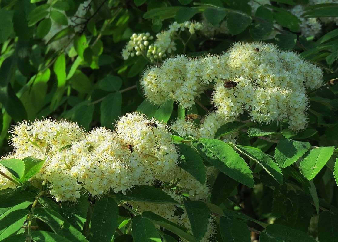 ��������� �� ))) ����� Natali  ��������� �� PhotoGeek.ru #������ ��� ������� #����� ��������������