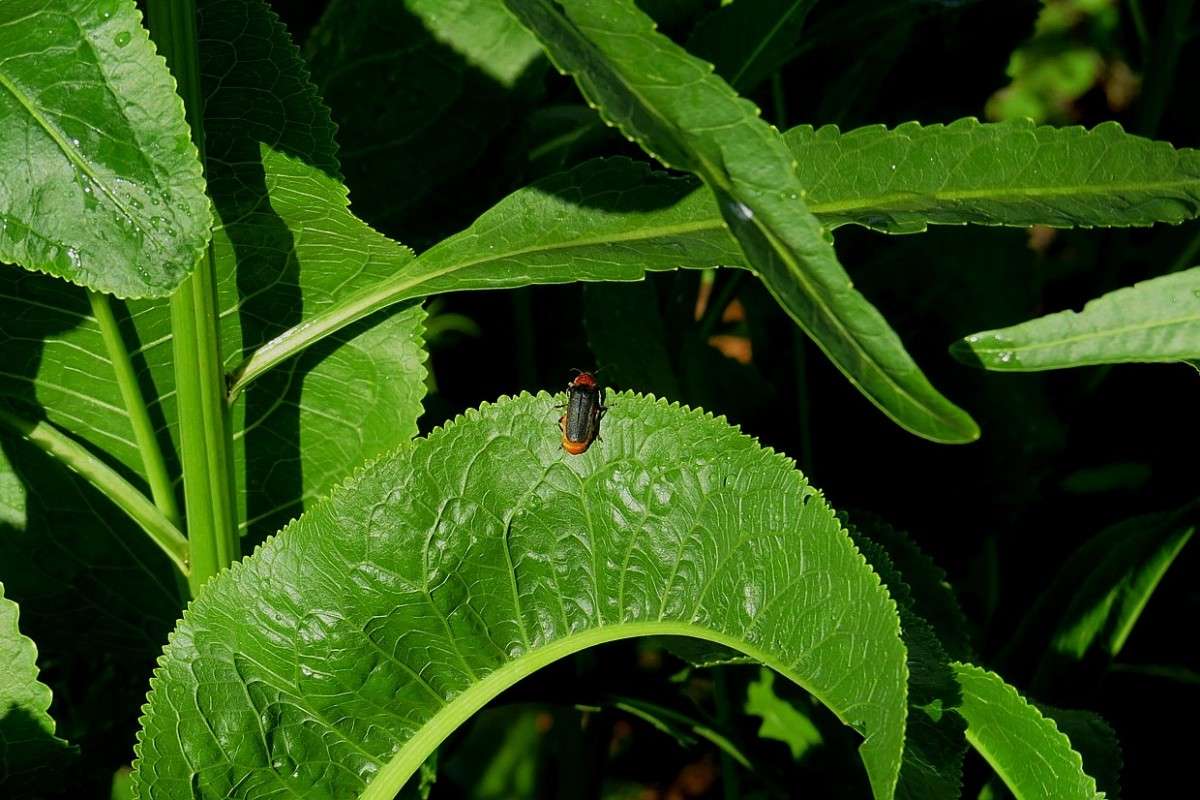 � ������� �����������.... ����� Natali  ��������� �� PhotoGeek.ru #������ ��� ������� #����� ��������������