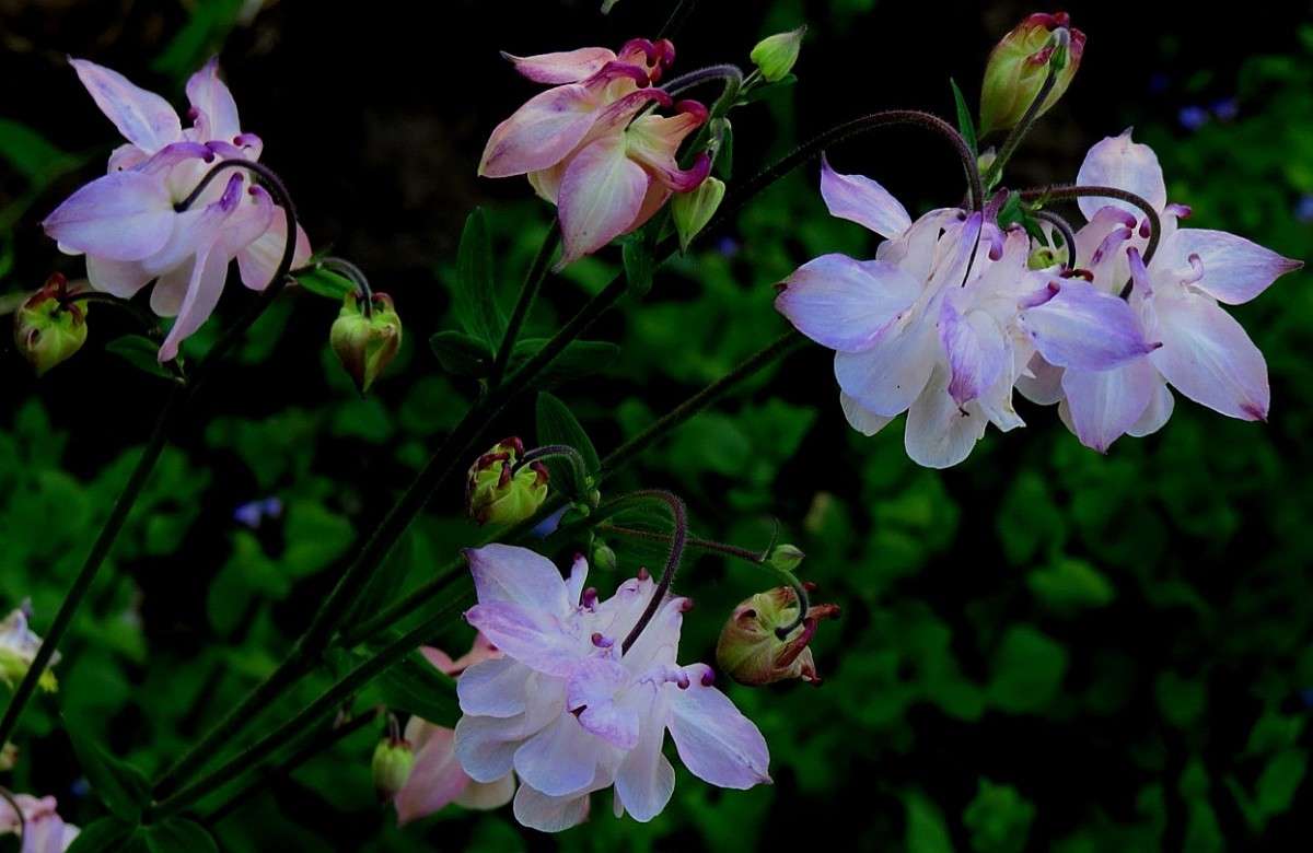 ��� ���������.... ) ����� Natali  ��������� �� PhotoGeek.ru #������ ��� ������� #����� ��������������