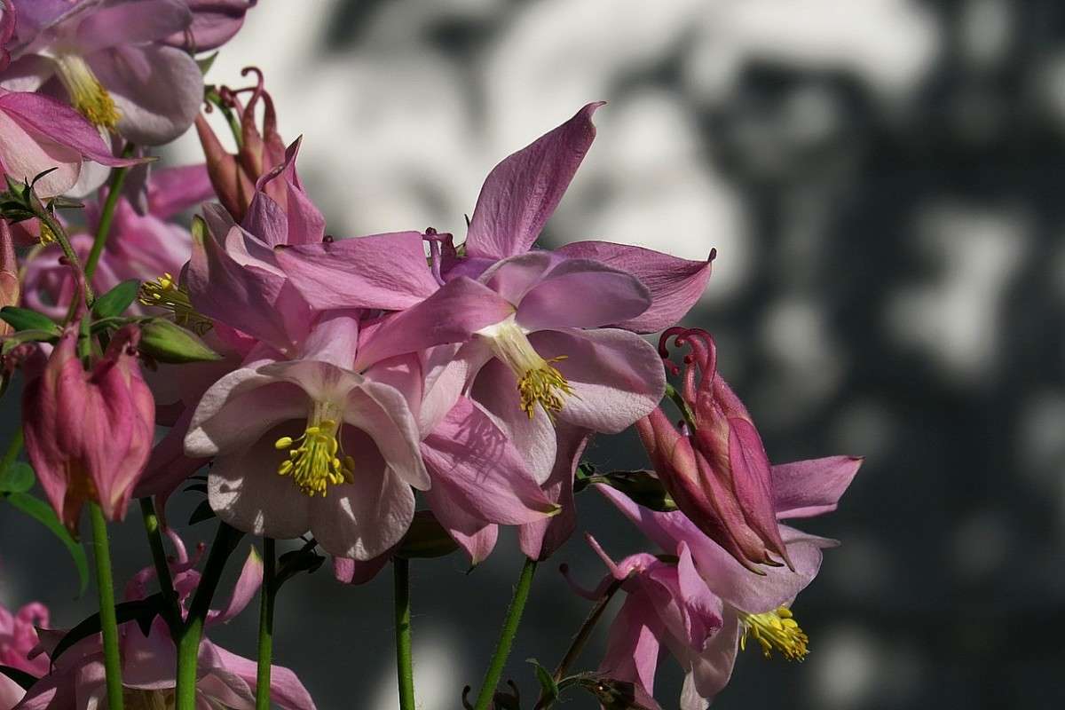 ��� ��������� ...2 ����� Natali  ��������� �� PhotoGeek.ru #������ ��� ������� #����� ��������������