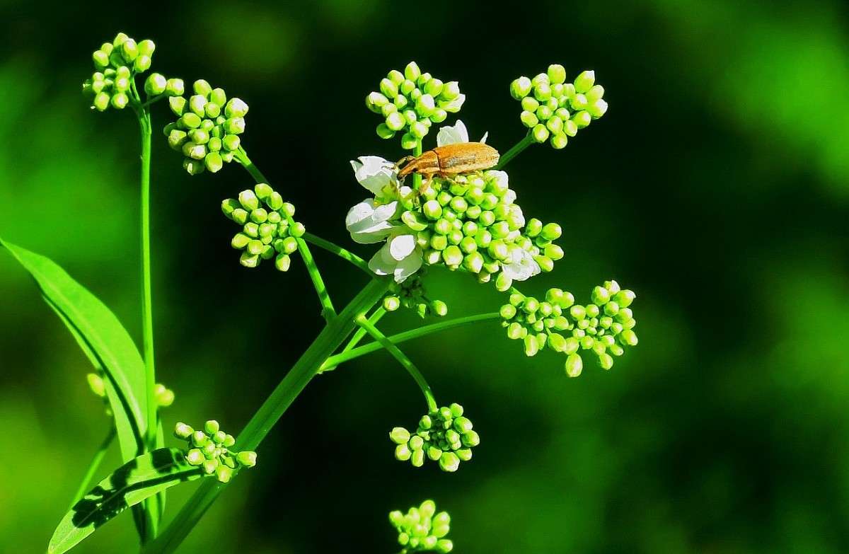 �� ������ �������� .... ))) ����� Natali  ��������� �� PhotoGeek.ru #������ ��� ������� #����� ��������������