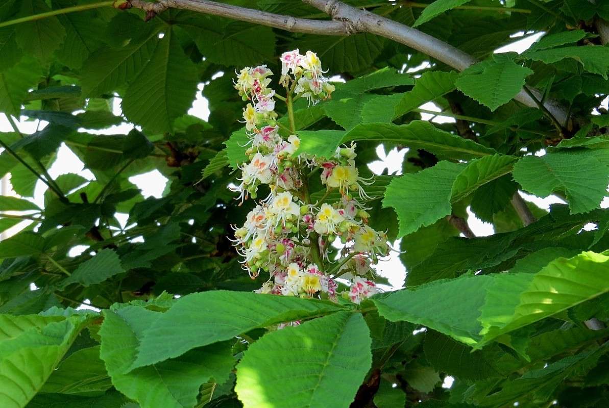 ... ����� Natali  ��������� �� PhotoGeek.ru #������ ��� ������� #����� ��������������