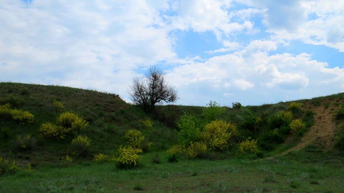 ��� 2 ����� Natali  ��������� �� PhotoGeek.ru #������ ��� ������� #����� ��������������