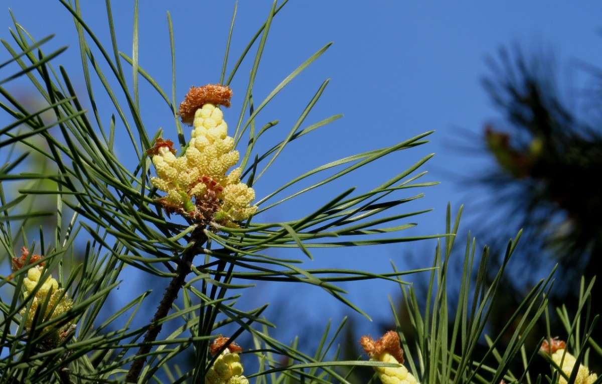 ����������� ������� ... ) ����� Natali  ��������� �� PhotoGeek.ru #������ ��� ������� #����� ��������������