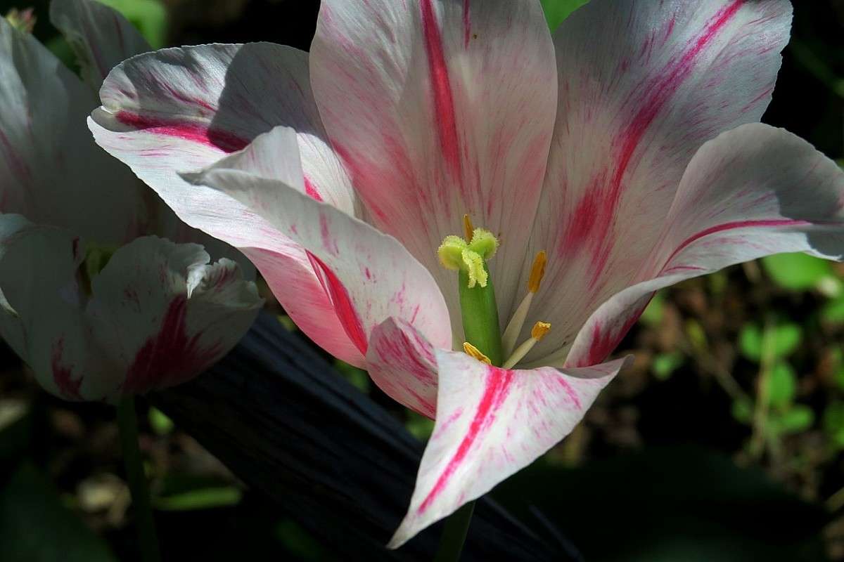 ... ����� Natali  ��������� �� PhotoGeek.ru #������ ��� ������� #����� ��������������