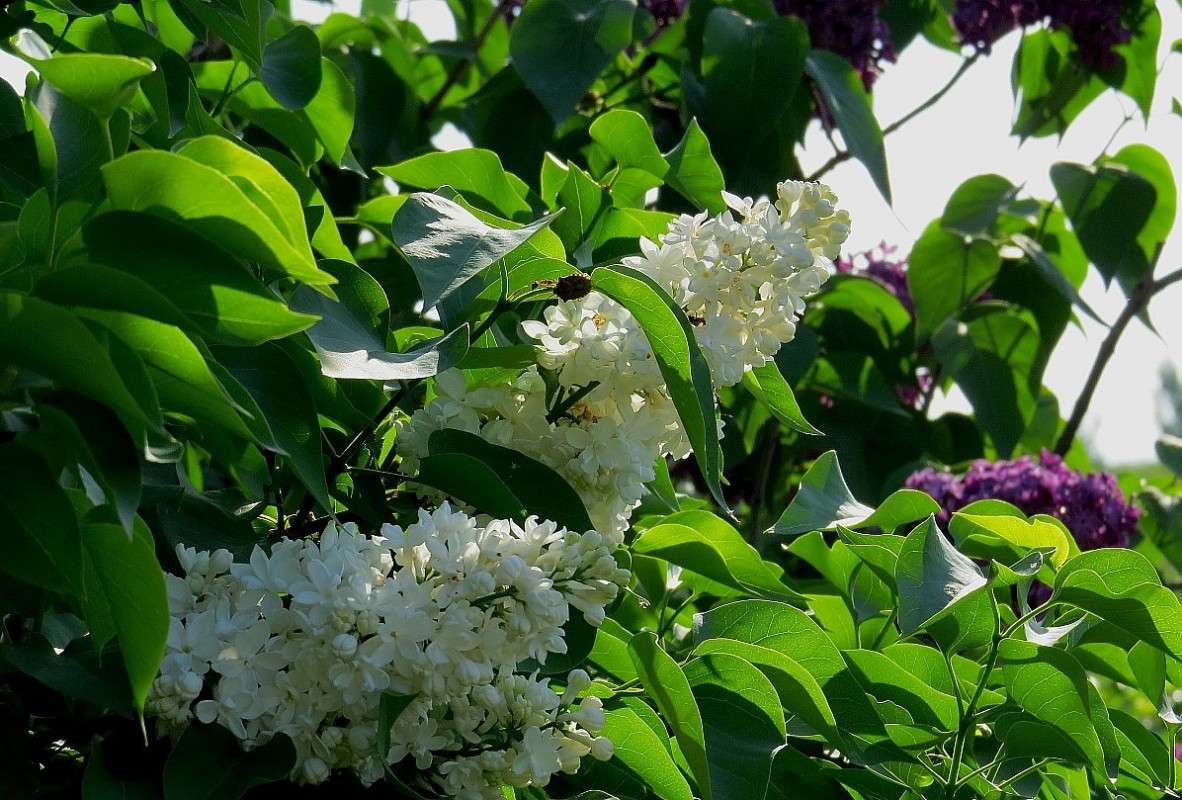 ... ����� Natali  ��������� �� PhotoGeek.ru #������ ��� ������� #����� ��������������