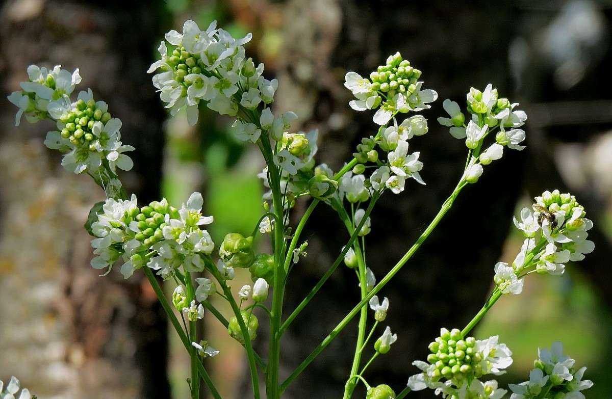 �� ������ �������� ...2 ����� Natali  ��������� �� PhotoGeek.ru #������ ��� ������� #����� ��������������