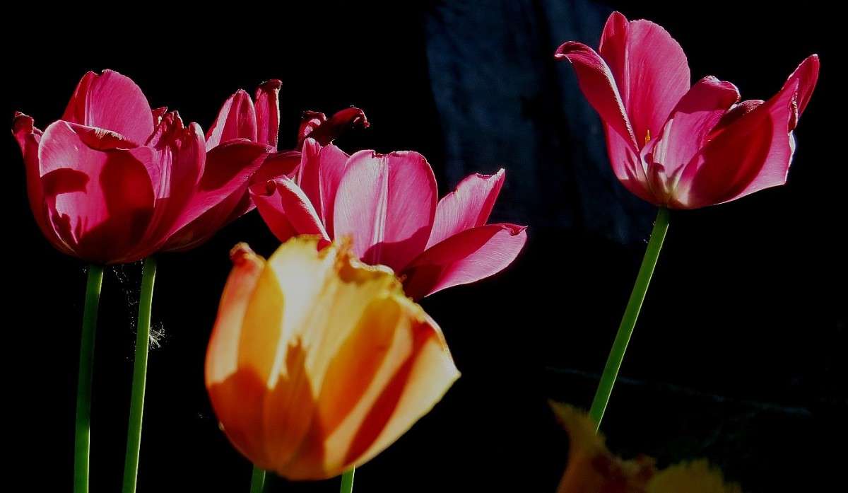 ... ����� Natali  ��������� �� PhotoGeek.ru #������ ��� ������� #����� ��������������