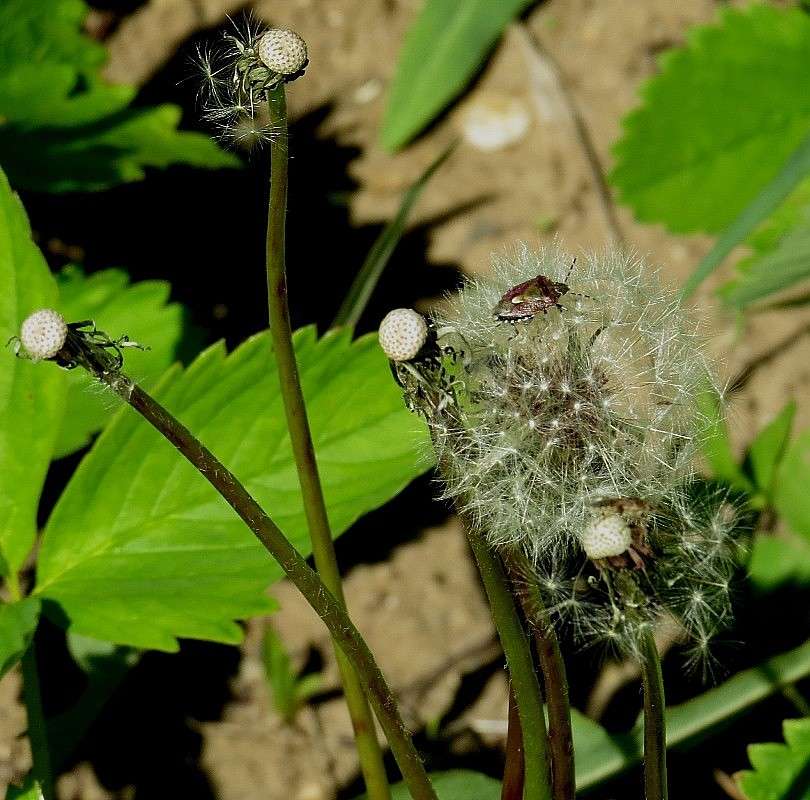 �� �������, �� ������� ... ))) ����� Natali  ��������� �� PhotoGeek.ru #������ ��� ������� #����� ��������������