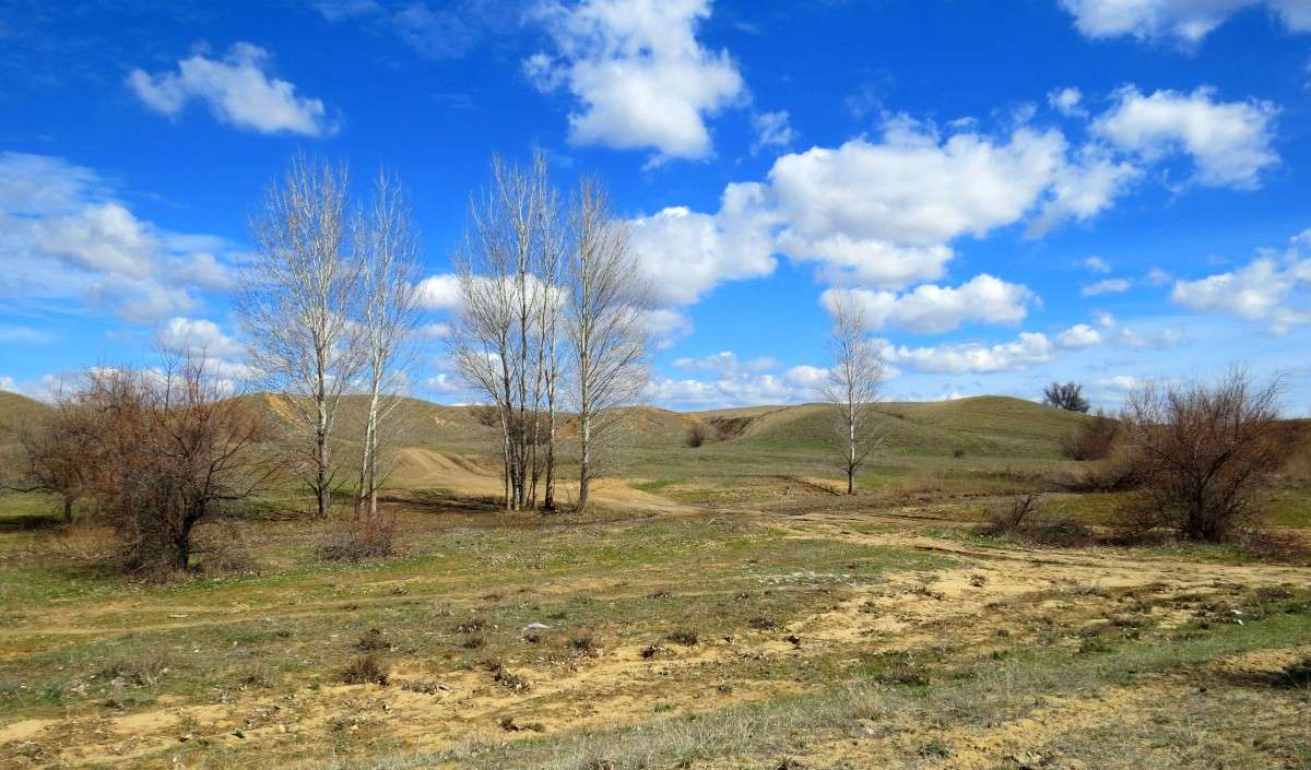 ������ ����� Natali  ��������� �� PhotoGeek.ru #������ ��� ������� #����� ��������������