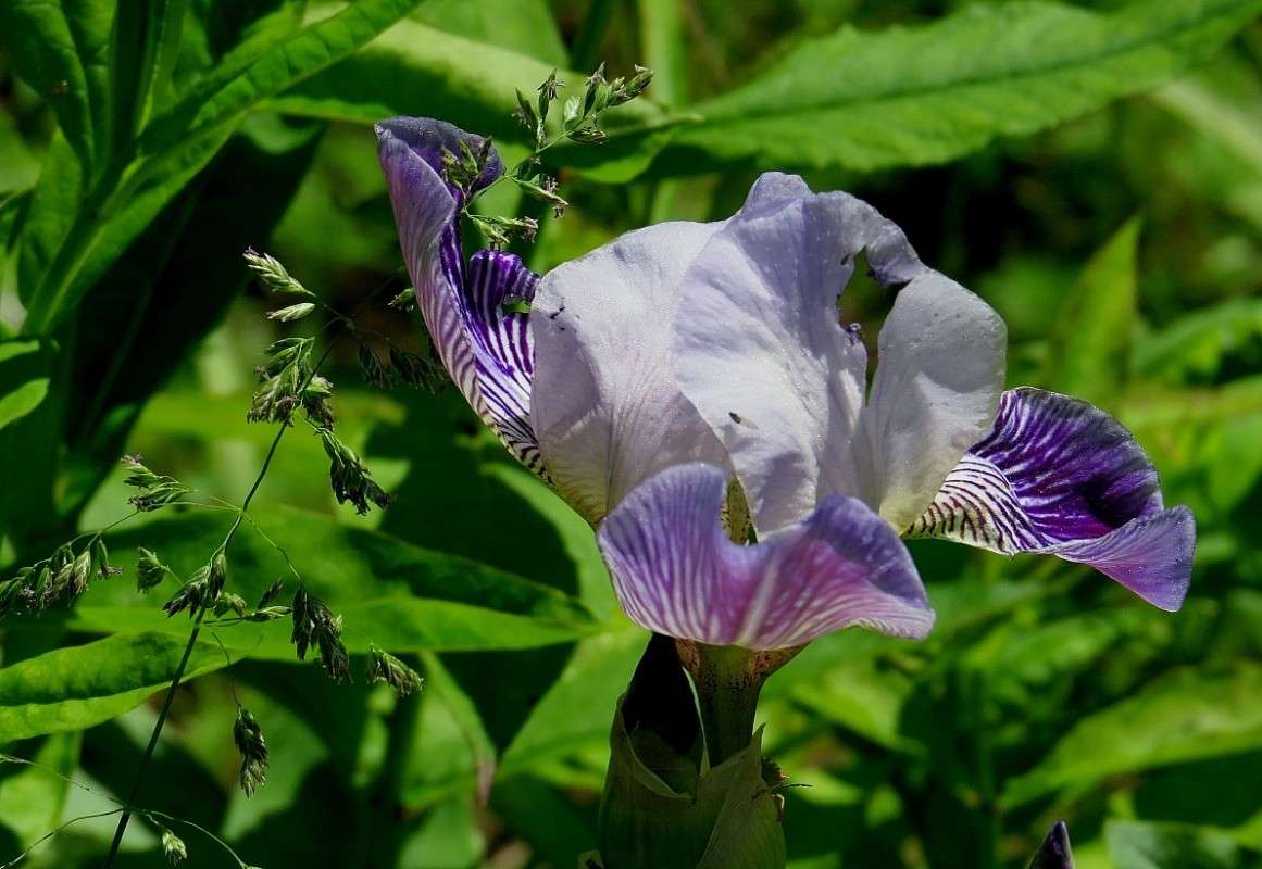 ������� ))) ����� Natali  ��������� �� PhotoGeek.ru #������ ��� ������� #����� ��������������