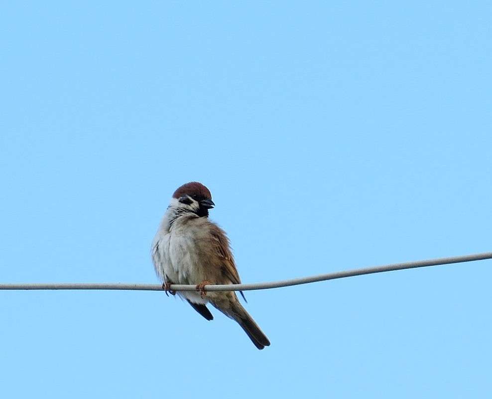 ����������� ))) ����� Natali  ��������� �� PhotoGeek.ru #�������� ��� #����� ��� ��� ���������