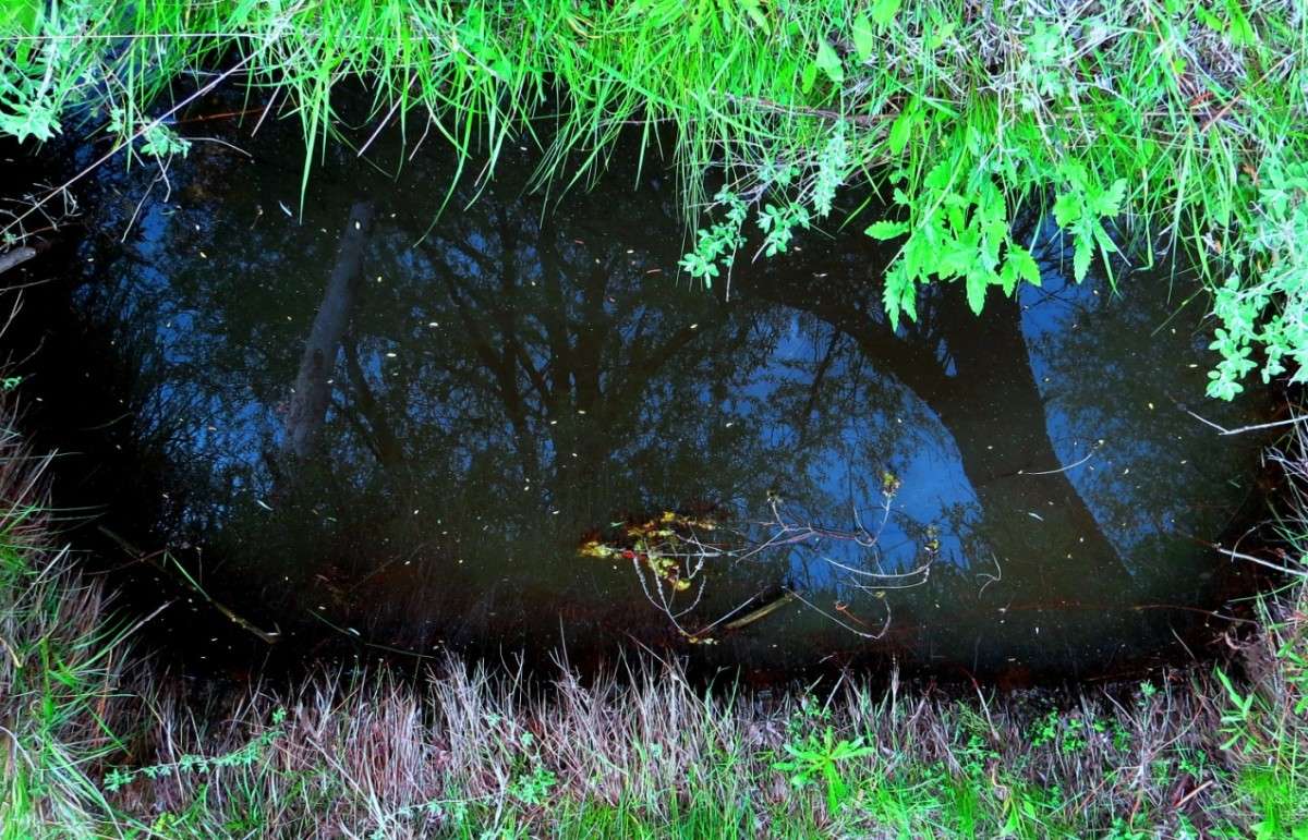 ���� ��� ����� Natali  ��������� �� PhotoGeek.ru #������ ��� ������� #����� ��������������