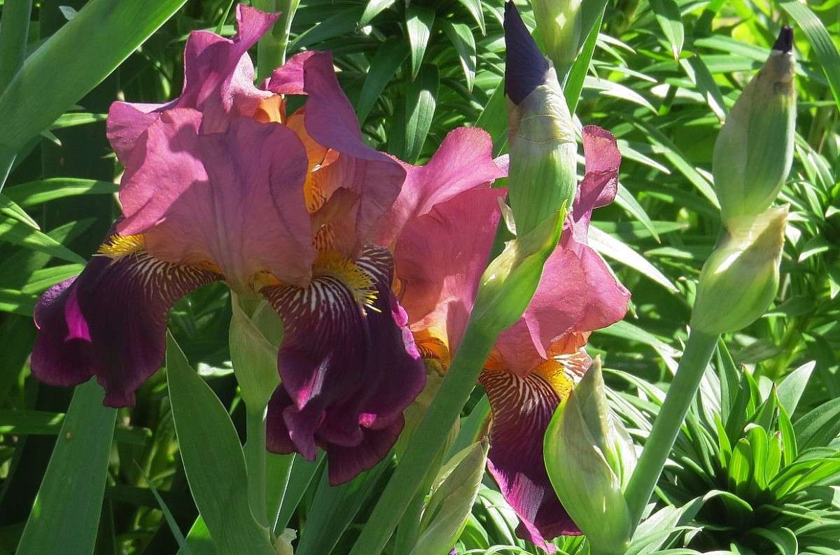 ... ����� Natali  ��������� �� PhotoGeek.ru #������ ��� ������� #����� ��������������