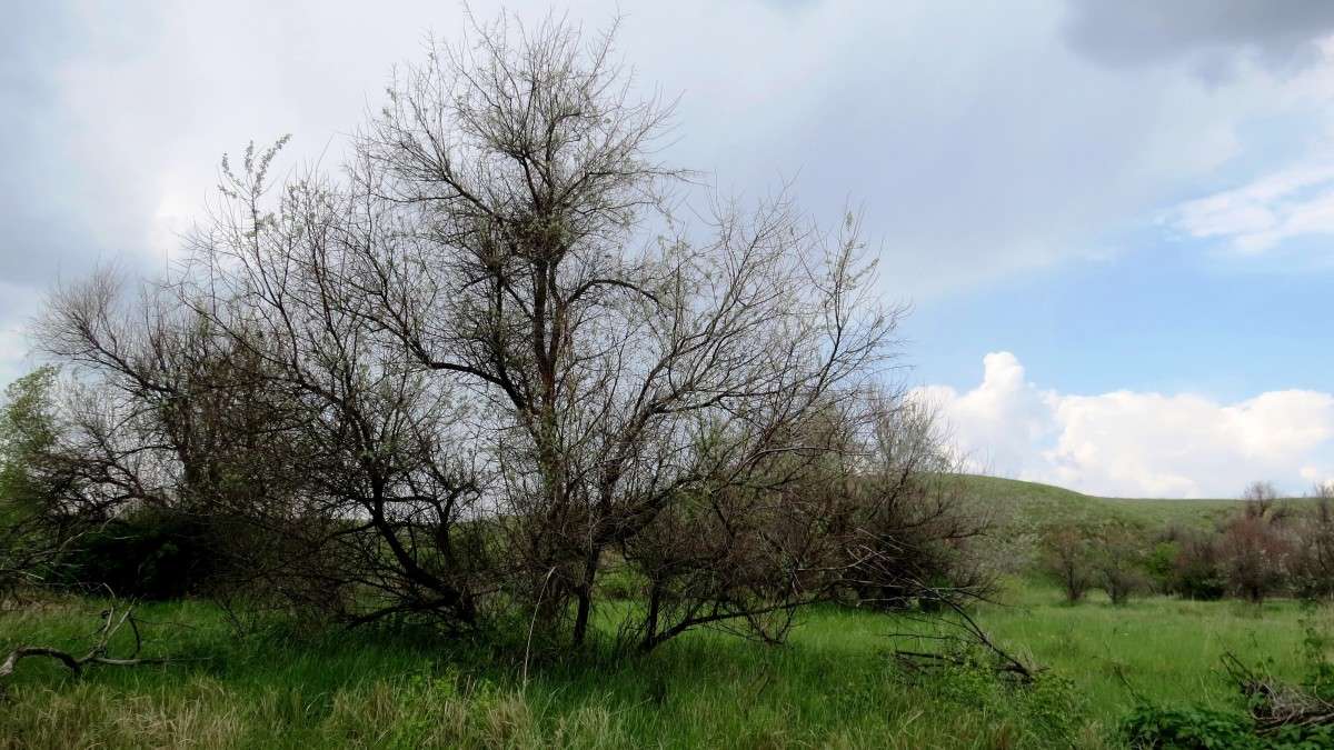 ... ����� Natali  ��������� �� PhotoGeek.ru #������ ��� ������� #����� ��������������