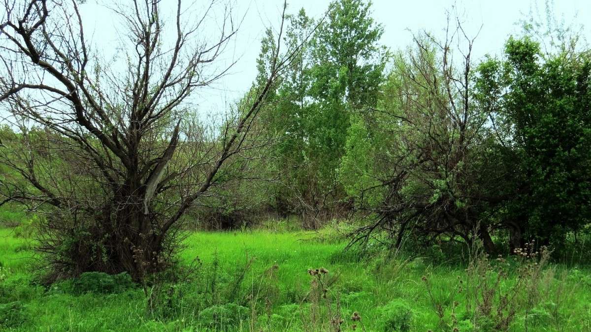 ... ����� Natali  ��������� �� PhotoGeek.ru #������ ��� ������� #����� ��������������