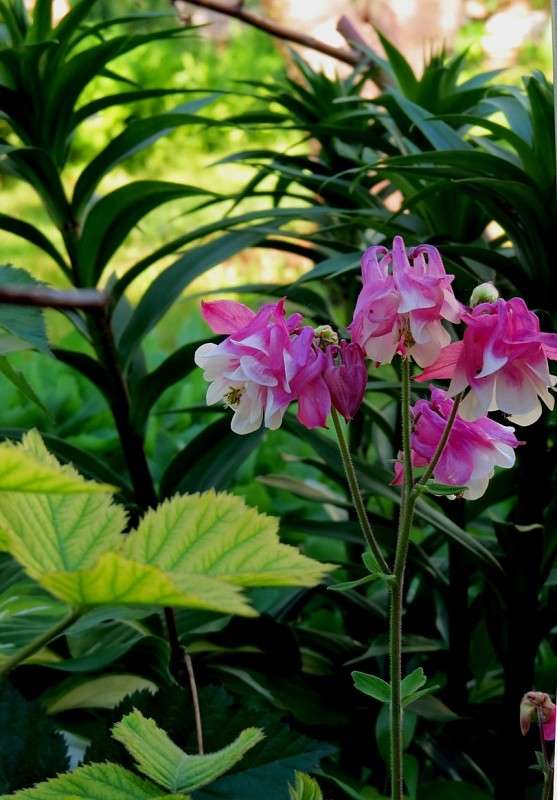 ... ����� Natali  ��������� �� PhotoGeek.ru #������ ��� ������� #����� ��������������