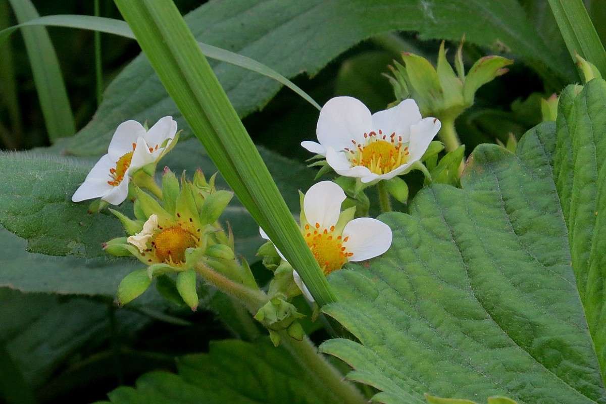 �������� ����� Natali  ��������� �� PhotoGeek.ru #������ ��� ������� #����� ��������������