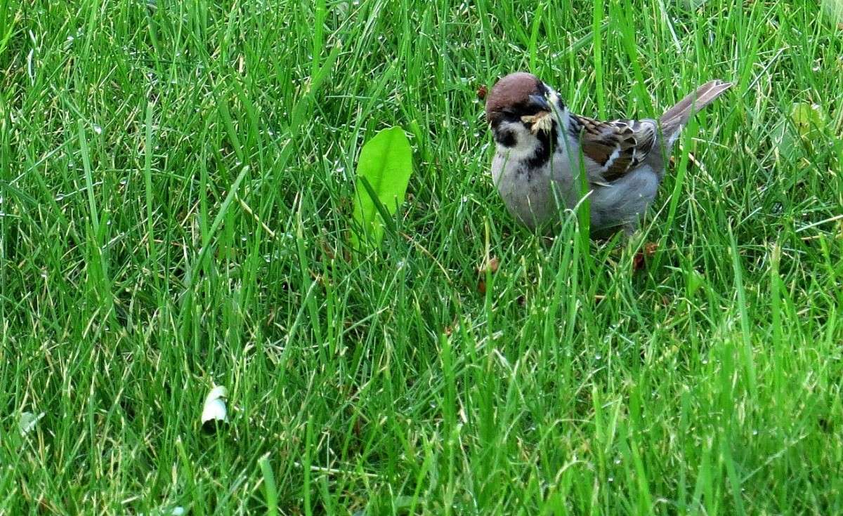 ��� ������ ������� ? ) ����� Natali  ��������� �� PhotoGeek.ru #�������� ��� #����� ��� ��� ���������