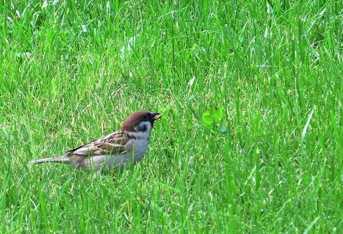 ��� ������ ������� ......? 2 ����� Natali  ��������� �� PhotoGeek.ru #�������� ��� #����� ��� ��� ���������