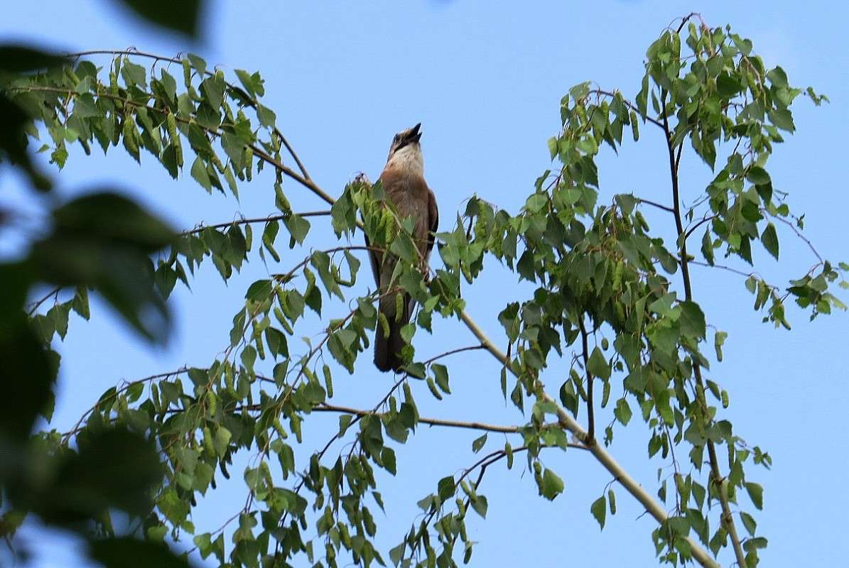 ... ����� Natali  ��������� �� PhotoGeek.ru #�������� ��� #����� ��� ��� ���������