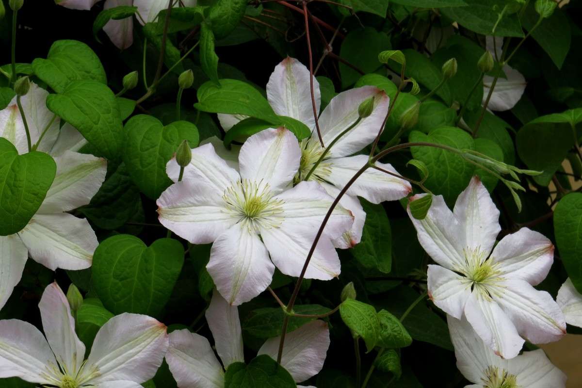 �������� ����� Natali  ��������� �� PhotoGeek.ru #����� ��������������