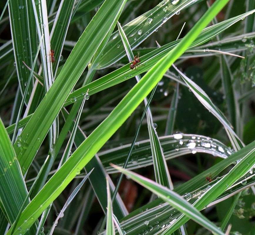 � ������ ������� ))) ����� Natali  ��������� �� PhotoGeek.ru #������ ��� ������� #����� ��������������