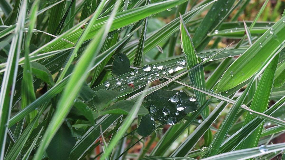 ����� ������ ����� ))) ����� Natali  ��������� �� PhotoGeek.ru #������ ��� ������� #����� ��������������