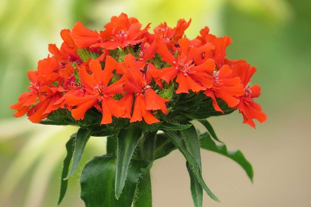 ... ����� Natali  ��������� �� PhotoGeek.ru #������ ��� ������� #����� ��������������