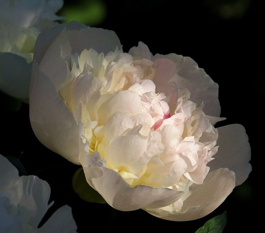 ... ����� Natali  ��������� �� PhotoGeek.ru #������ ��� ������� #����� ��������������